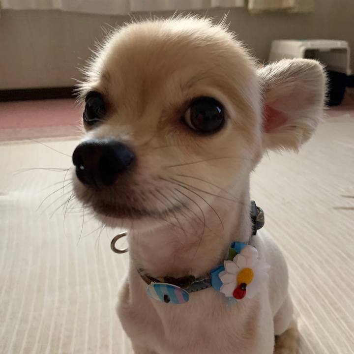 Aa7056aa fbfb 4aed 9a40 17030e56fe76 1598171720534