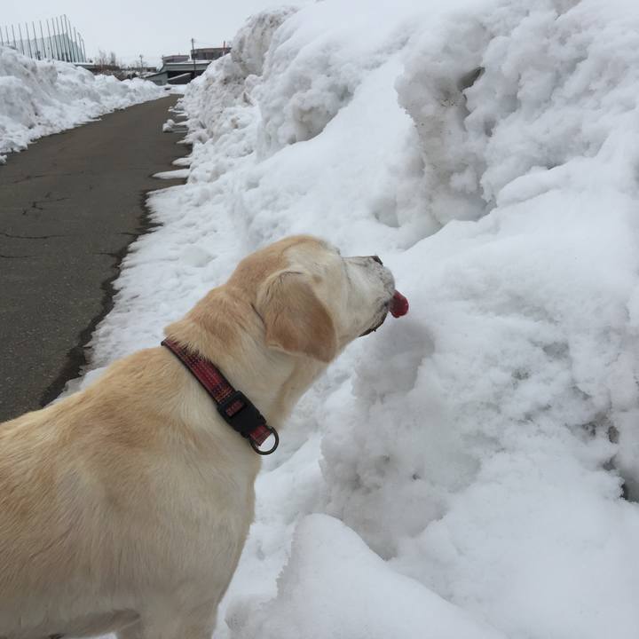 Aa70576a 200c 4b6b 8a33 e095236dbd28 1519109806590