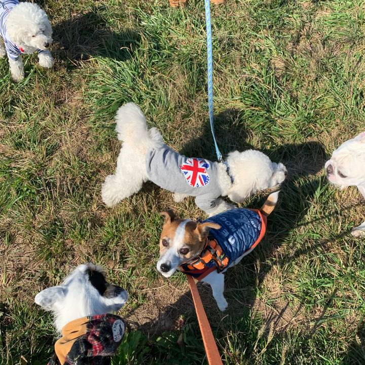 Aa70eaf6 92f8 4b9e b2f7 7ed0c7bf85d3 1604539179007