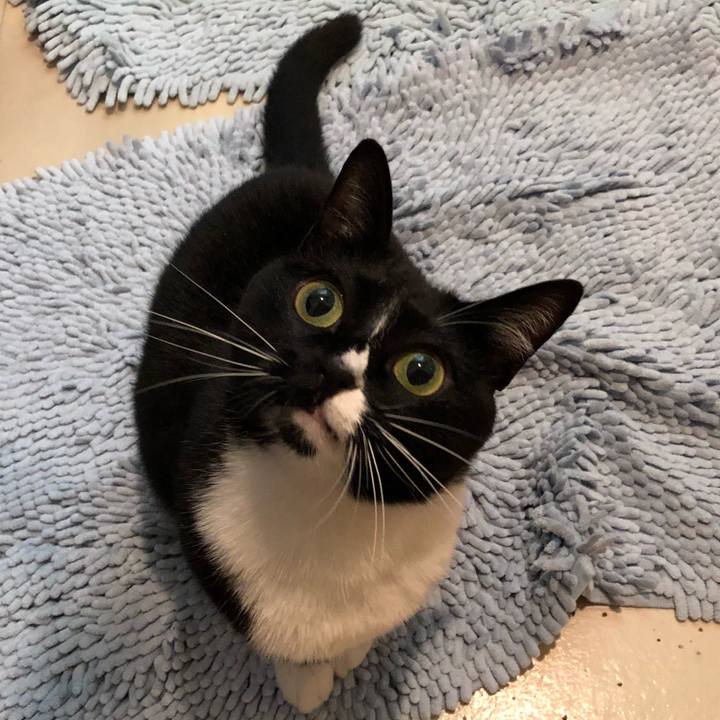 Aa713dcb 9115 4574 86e7 77f740e79181 1515885540990