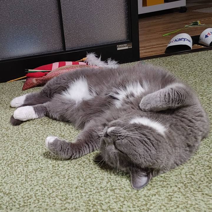 Aa714bf6 1874 40d2 9734 bd60f762cb56 1717857627474