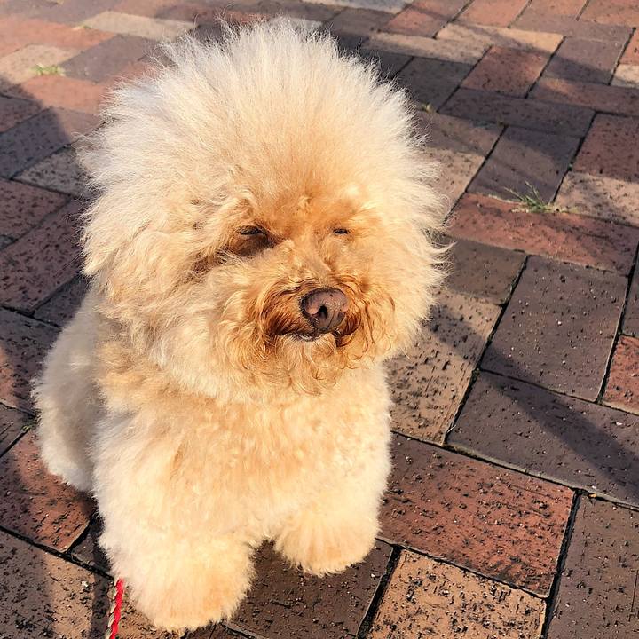 Aa71d9d2 247d 461f b2b9 92a111a51f92 1538730189735