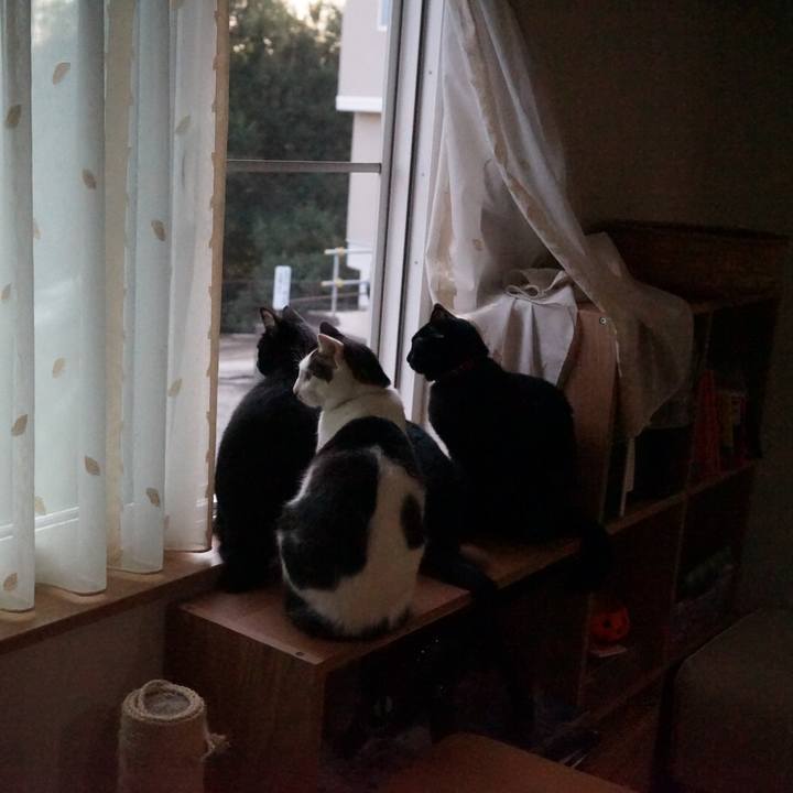 Aa71e8d7 d6cc 4c38 a831 14d563ec16a2 1540424171659