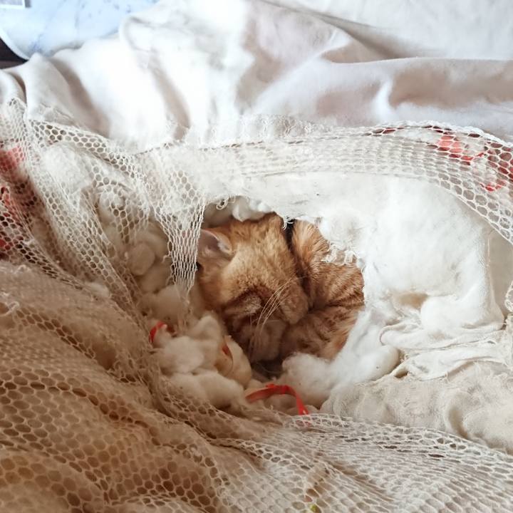 Aa71f45a fce7 4bdd ac3c 0f870049705b 1648089732525