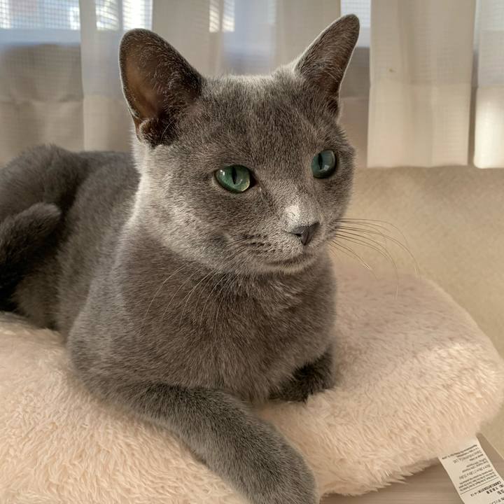 Aa71f493 f3dc 4358 bea4 258da3bb6bb4 1581119448030