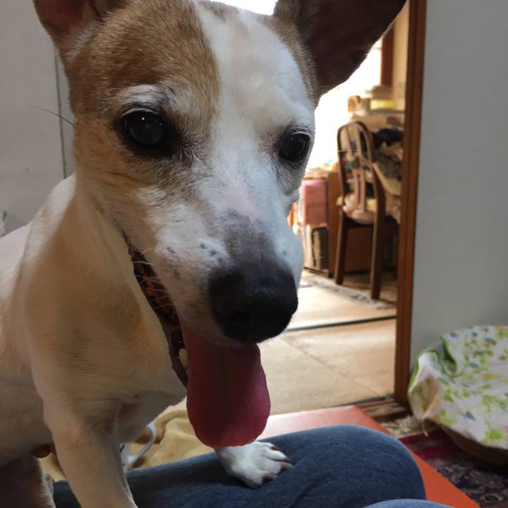 Aa72284e fd28 4f59 9c8f 41c29e4426f9 1530019544426