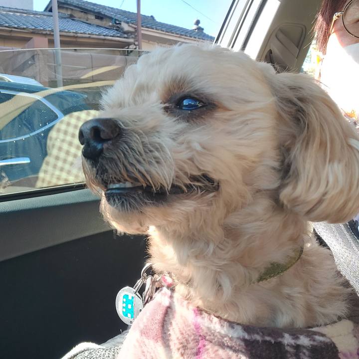 Aa723ee6 a565 402b 9b95 0b670d525985 1644556608295