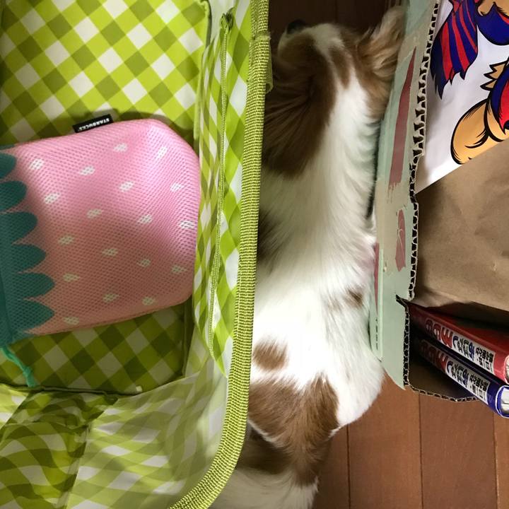 Aa7247f1 b128 42de b1b5 f3491b7cadc1 1555339094219