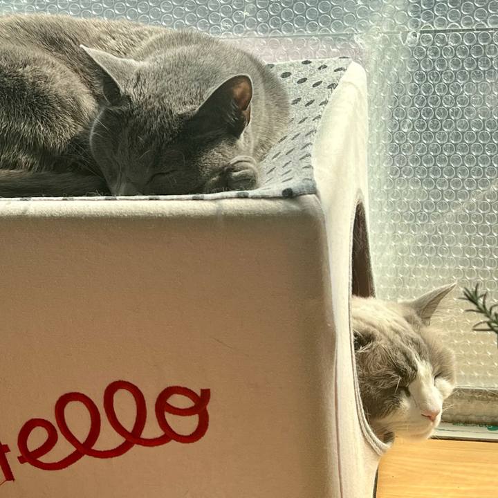 Aa72a511 ea78 4fee a286 5d62301a0317 1677210628770