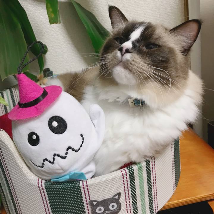 Aa72a78e 0d31 4adc 95c1 7c34f85b521f 1509061425447