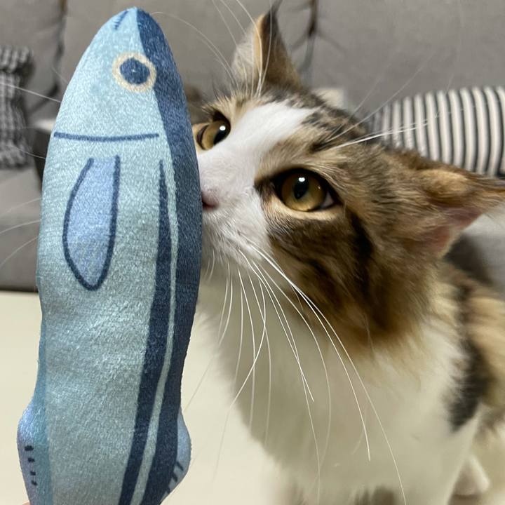 Aa72b6c9 0a16 4487 ba91 e1d028944fa0 1636363692996