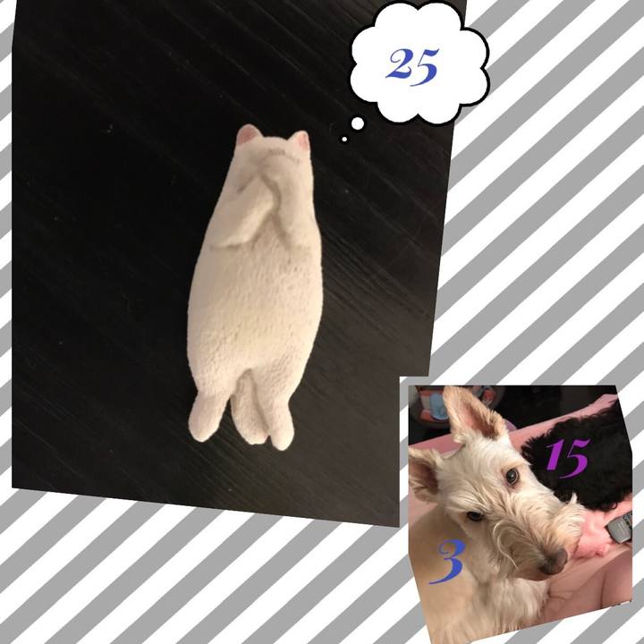 Aa72c37a 6c00 4570 8121 7f10af149d30 1528019388854