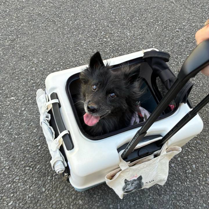 Aa730668 a20d 420c 8a5c e77e31b66aaf 1774009240100