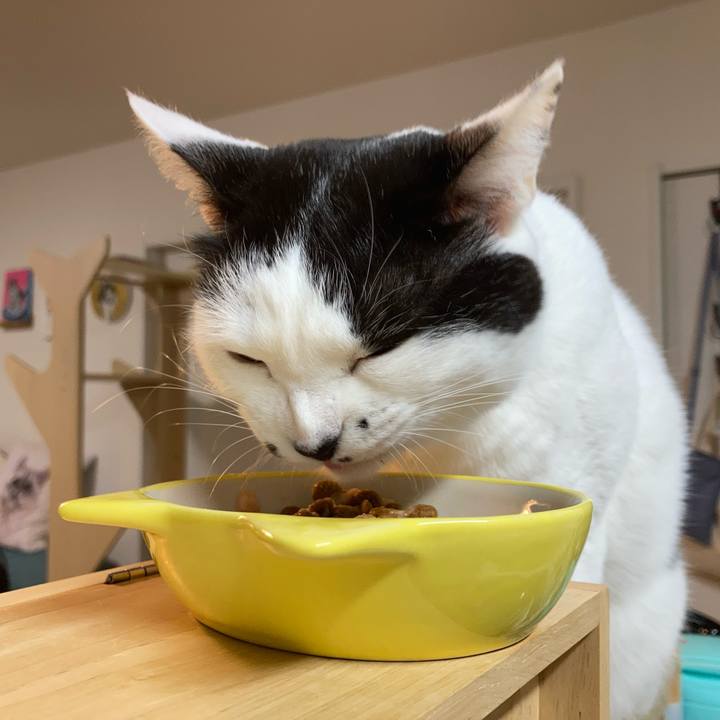 Aa731d28 9db3 4c78 bb45 3498f1f01b38 1767560394918