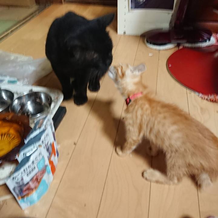 Aa732267 8be5 489c b34c 07d913faa32a 1628249801177