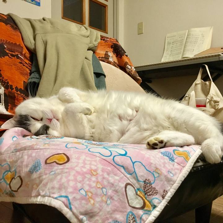 Aa739b91 5742 4cc9 a5d7 f54536f8901d 1517498454614