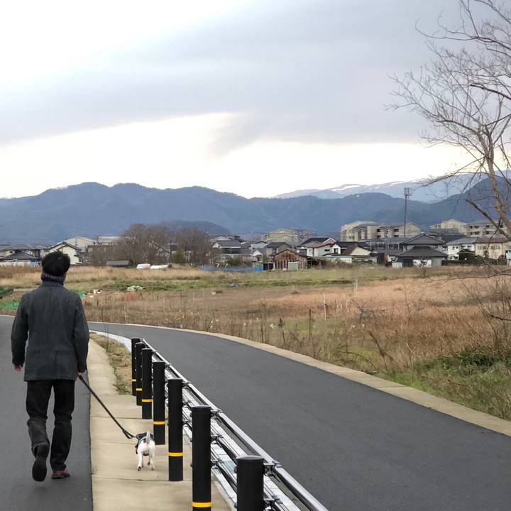 Aa73be4d b283 4a1e 806c 17afea3ba8ad 1545205445544