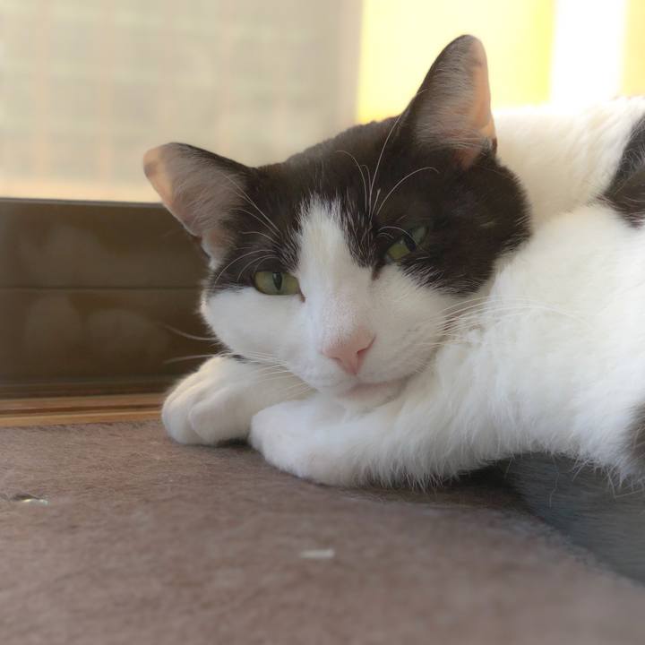 Aa73bef9 dfd3 4e64 ac5b 0c1243888670 1557538377717