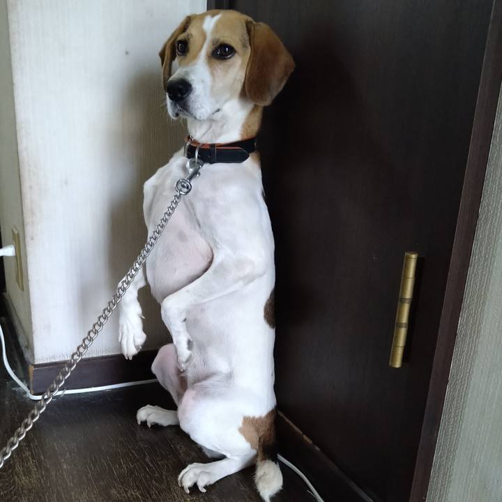 Aa73c03c 8109 4937 882e e408b4a245fc 1631450375783