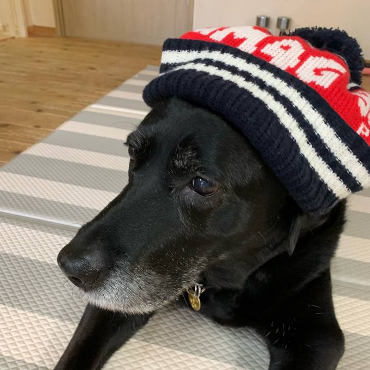 Aa73ce9f e124 4a5c ae42 7e56cf42d819 1579844247188