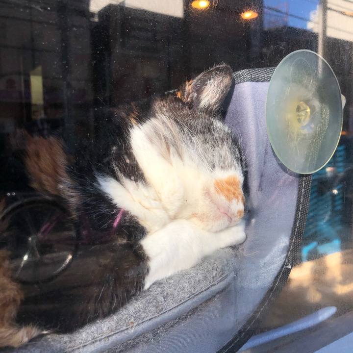 Aa74587c dc68 40dd aa59 77c16c1dd65f 1606146650121