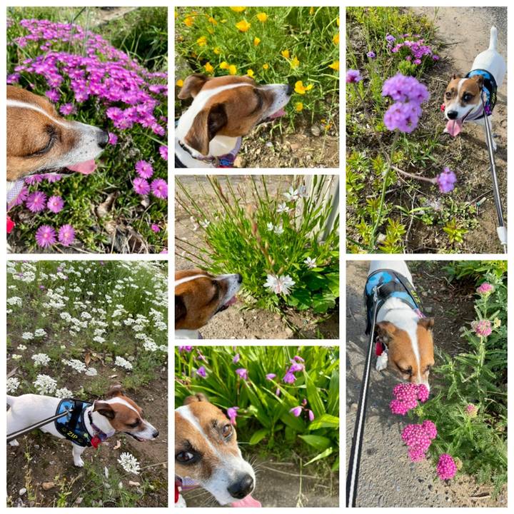 Aa74a36d 3cc8 4a55 ba26 30eed339550e 1717058685755