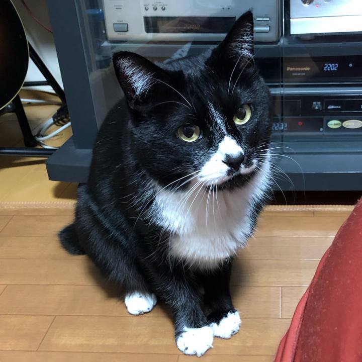 Aa74afa3 8a15 4128 b62e 9c783d58eddd 1646826498906