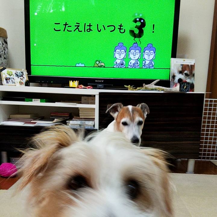 Aa74cd2a 556d 4803 8a3e 200cf6b8dd86 1570572570365