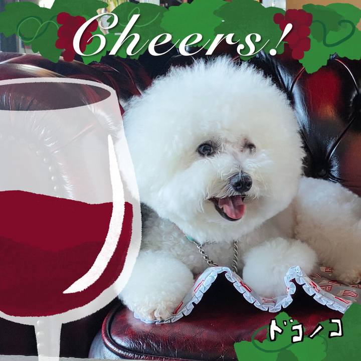 Aa74e99d 320a 497e 9250 394a45757ee2 1761216666679