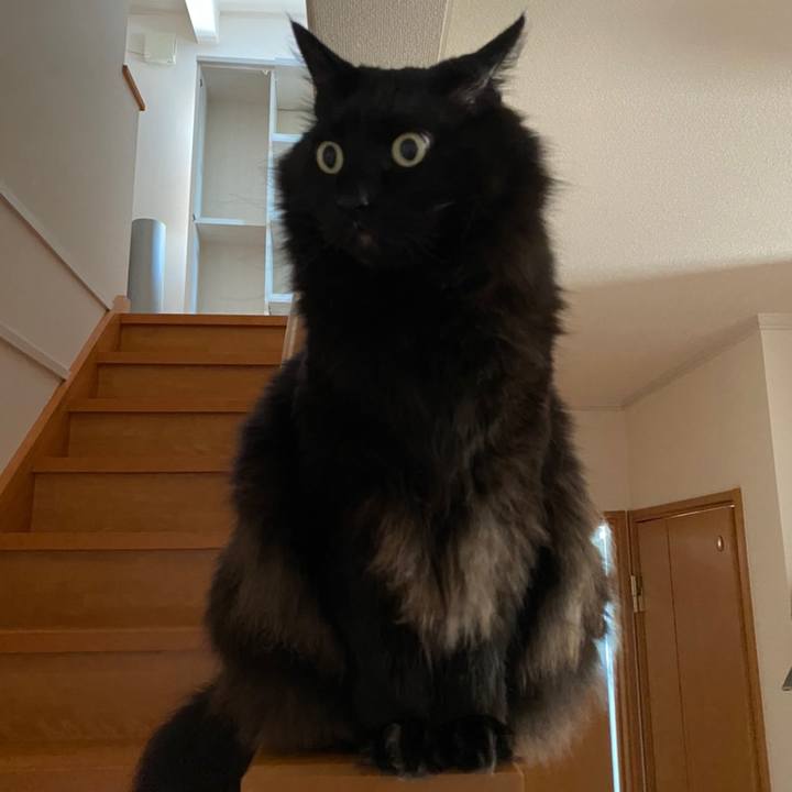 Aa74fbb7 96b2 4468 b4d8 f736d404c2af 1615472448661