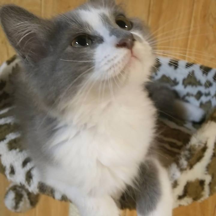 Aa751b1e 8e90 4fe2 ae4c c83c32f8a165 1563618471145