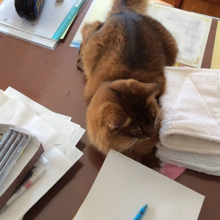 Aa752fe7 0e15 48cf b801 17c655b34351 1597715971731