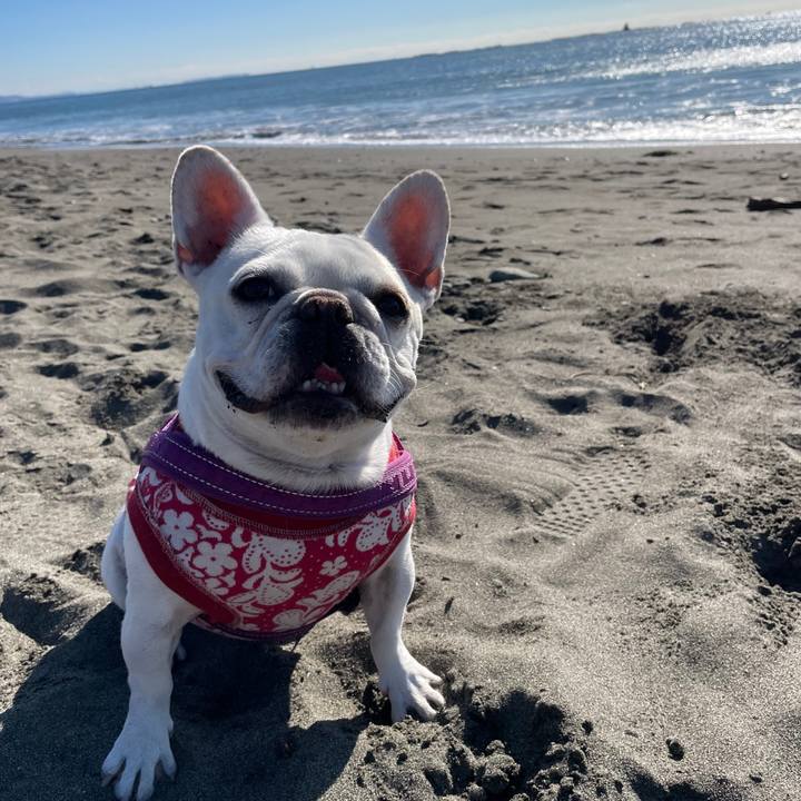 Aa758728 9a13 41b7 b909 e16d69bb4007 1732526058785