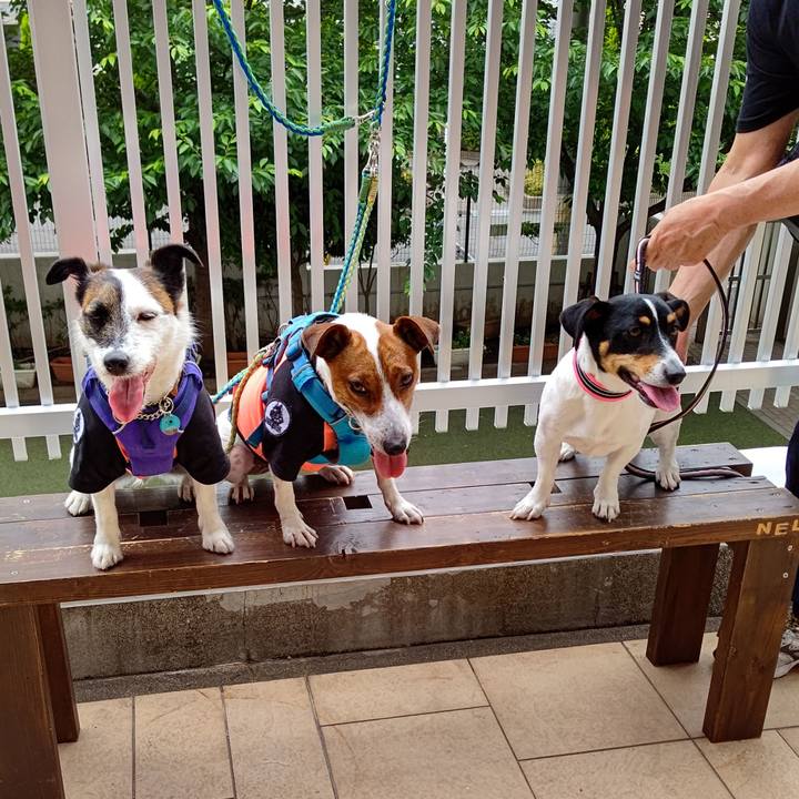 Aa762a79 e299 48e9 b851 8ea9a941a7a4 1621828388074