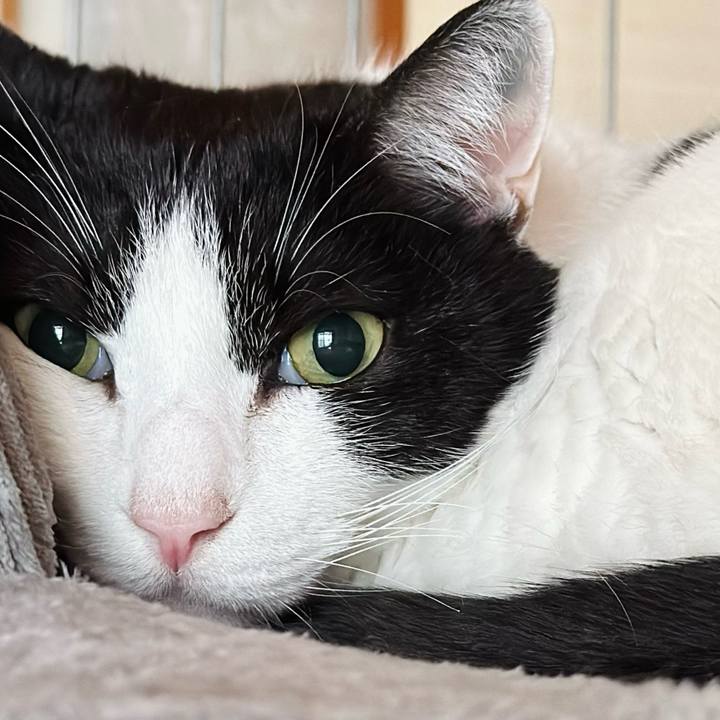 Aa763ff4 136c 48e8 a845 8f3790a6ff08 1711765037535