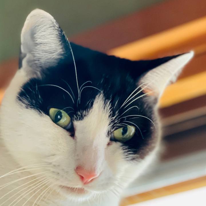 Aa76669e 83f9 4f8a 8ca4 14b2d6a308ea 1607739000669