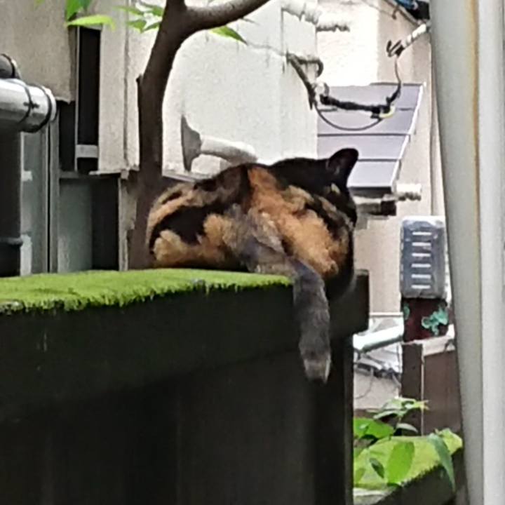 Aa76a8b6 6904 411d a5bb 5e46616016a8 1658030762570