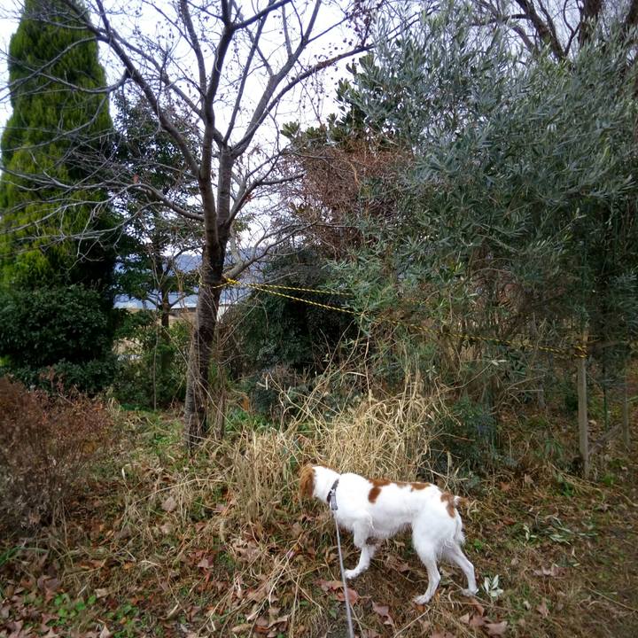 Aa76d9df 6f6b 4e03 8c5f d8d67ae5e299 1515398903624