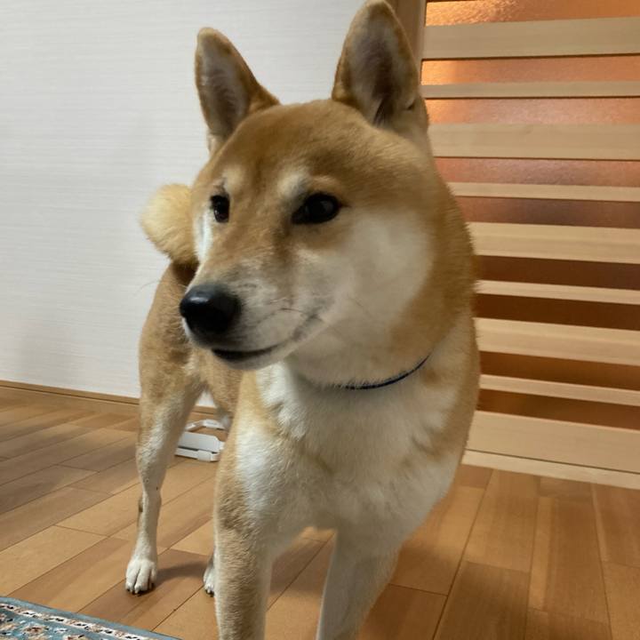 Aa76ddbe b0eb 43c0 965d 1512f58e7da5 1672488255862