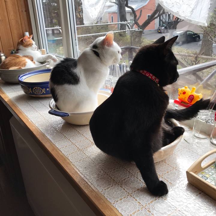 Aa76e4cc 5cb4 4ff2 8cea 4affb54488a9 1588718115622