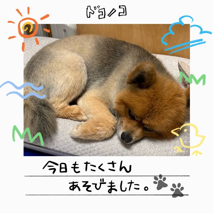 Aa76faac d3ab 4991 9bdb a46b0388d91a 1755179972726