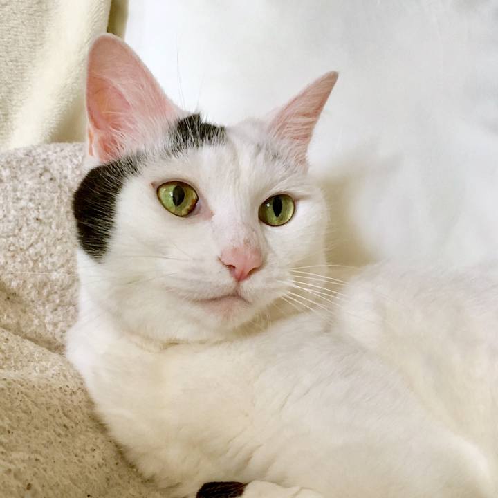 Aa770ea9 d191 4e5c bc82 2b98e6e5e921 1565670273974