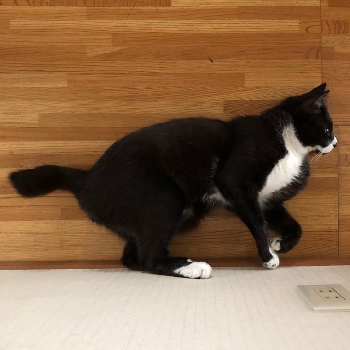 Aa771ad4 a123 4c12 b438 d033545e4eed 1594956115663