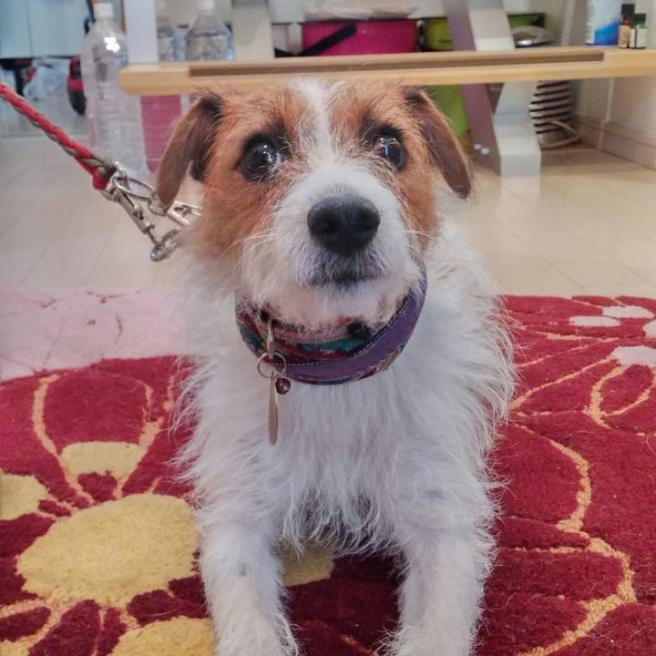 Aa778a13 a879 4172 a8a9 9d8f72c93438 1540595839848