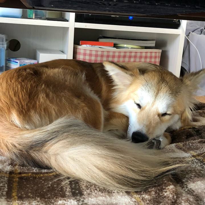 Aa77b13f 0e38 4bb3 b287 1b6c4b72b096 1526969519184