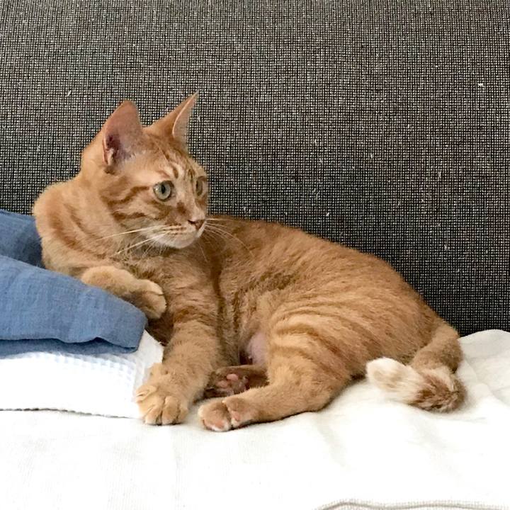 Aa77b340 3b34 423d 87ed 0ac23a4ca635 1535604553055