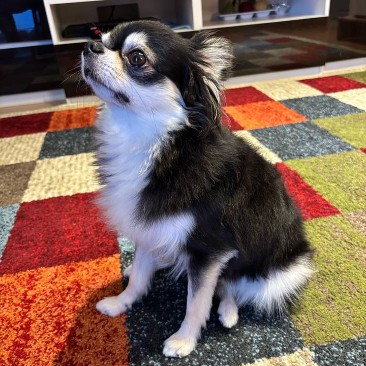 Aa77dbb9 226a 4707 ac4b e88ee13bdd40 1754153498608