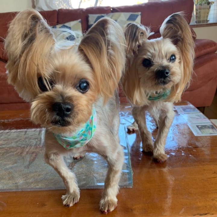 Aa77f5c7 9dab 43da 8a6d 86e403fd8101 1650362717361