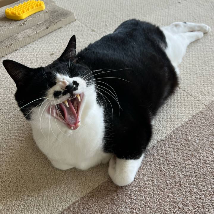 Aa781baf 92f0 490f 8a4d cce69b76fdb8 1772768695596