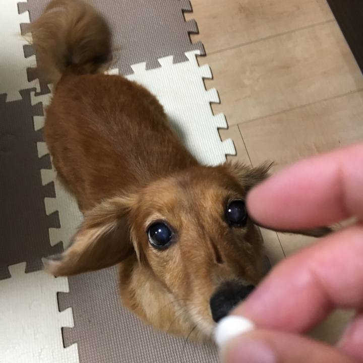 Aa786ed1 8406 4759 b4f7 af98f93fa7b7 1537362932074